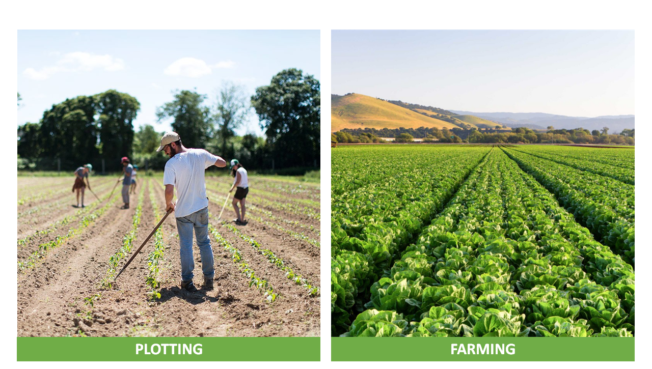 1ghxMBdZb1yD86FUU4JCw5w